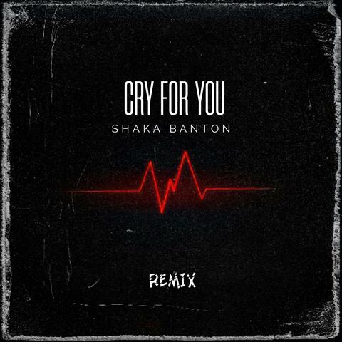 CRY FOR YOU (REMIX)