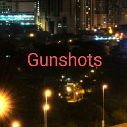 Gunshots (feat. Myles Reed Jr)