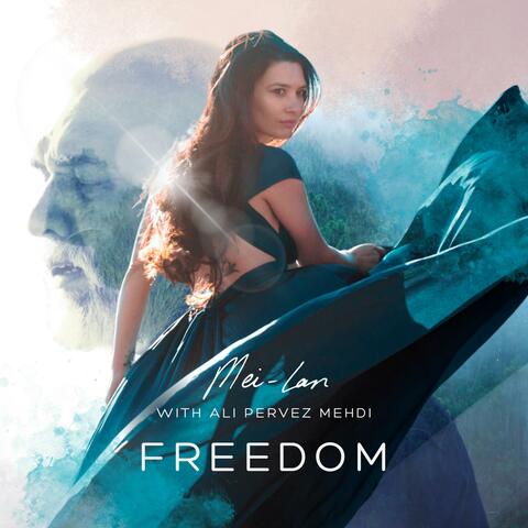 Freedom (feat. Ali Pervez Mehdi)