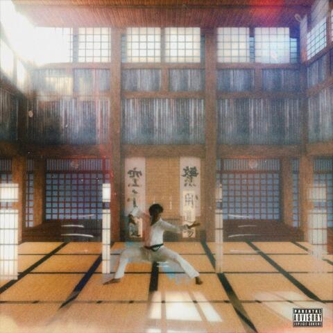 * The Dojo Vol . 1 *