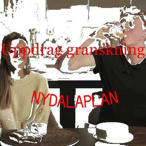 Uppdrag granskning