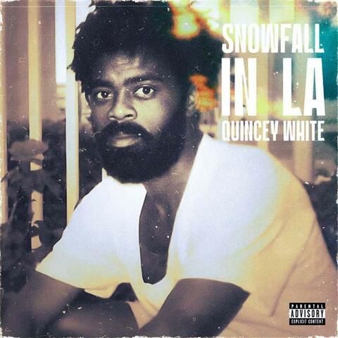 Snowfall in LA