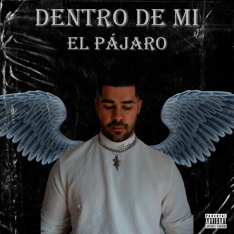 Dentro de mi