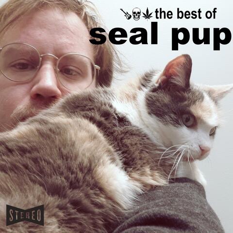 the best of seal pup (2016-2020)