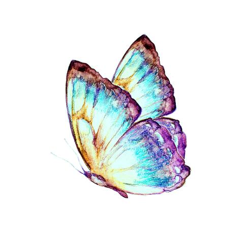 BUTTERFLY EFFECT (feat. SIMPLICITY)