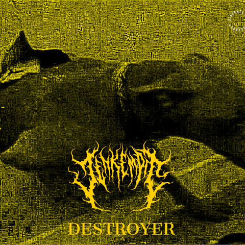 Destroyer