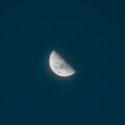 Moonlight