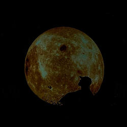 Success (Rise & Shine)