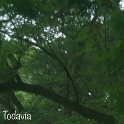 Todavía