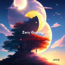 Zero Gravity (night time)