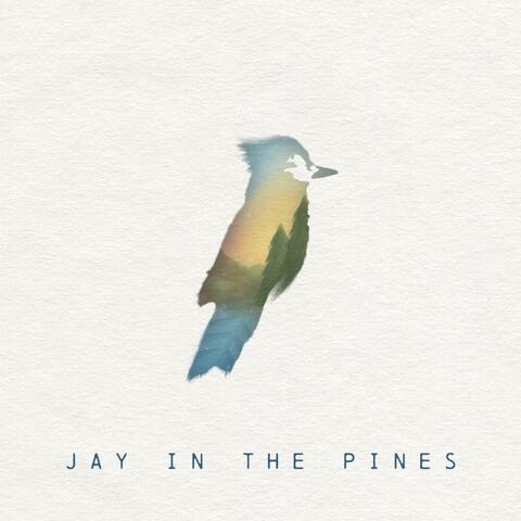 Jay in the Pines