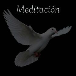 Meditación