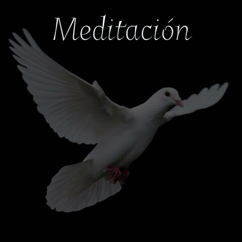 Meditación, Vol. 4