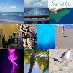 Seaside Rendevous