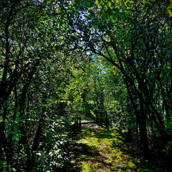 Journey by Foot