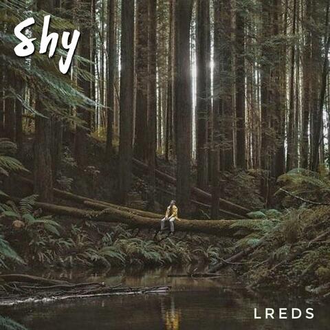 Shy (feat. Viktoriya Shostak)