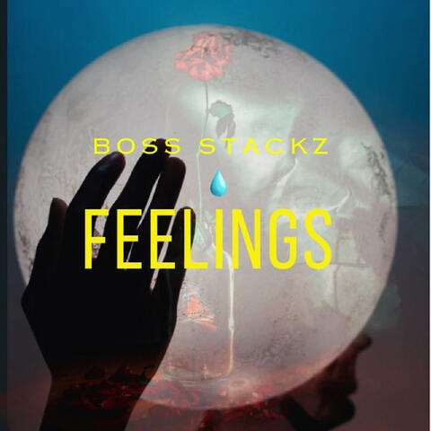 Feelings