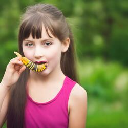 Eating Bugs