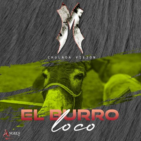 El Burro Loco