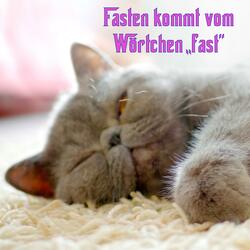 Fasten kommt vom Wörtchen "fast"