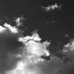VII.Elegy