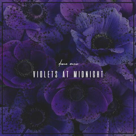 Violets At Midnight