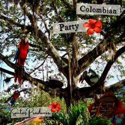 Colombian Party