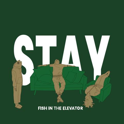 Stay