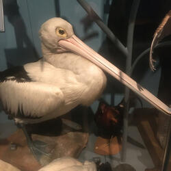 Heaven's last goodbye (feat. Ant Cook & Tom Slater)