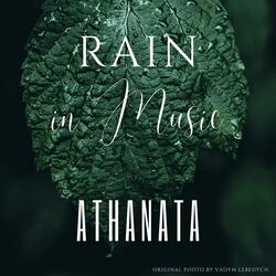 Rain and Birds (Calming Music)