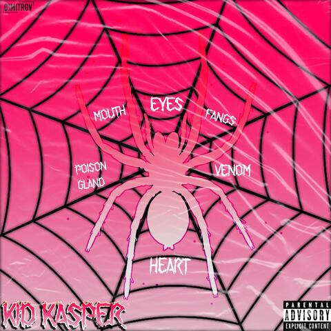 Real Spider Boys
