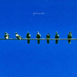 Morning Through The Curtains