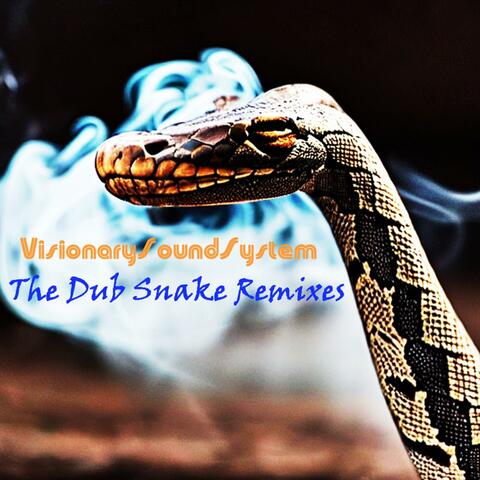 The Dub Snake Remixes