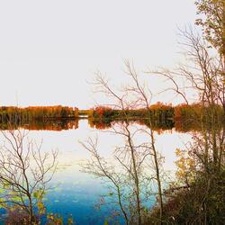 By the Lake (Custom Love Song)