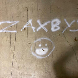 The Zaxby's Vibe (feat. Derrick Singer)