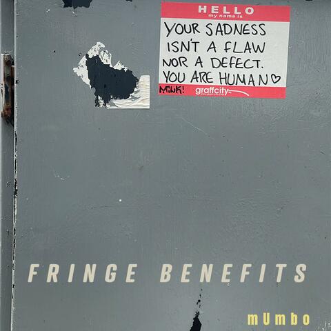Fringe Benefits
