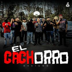 El Cachorro
