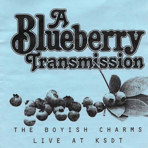 A Blueberry Transmission (Live at KSDT April 17, 2003)