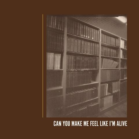 Can You Make Me Feel Like I'm Alive