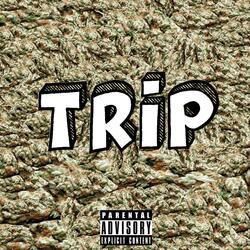 Trip