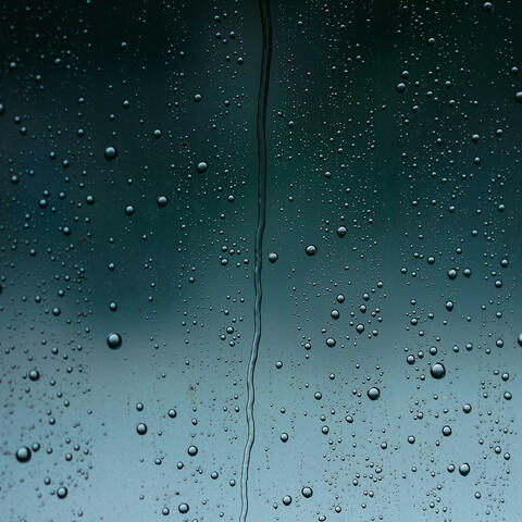 Gentle Falling Rain