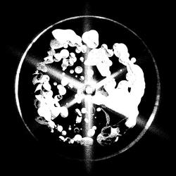 Axial Skeleton