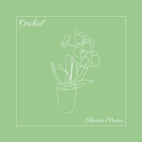 Orchid