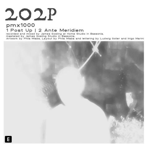 202P