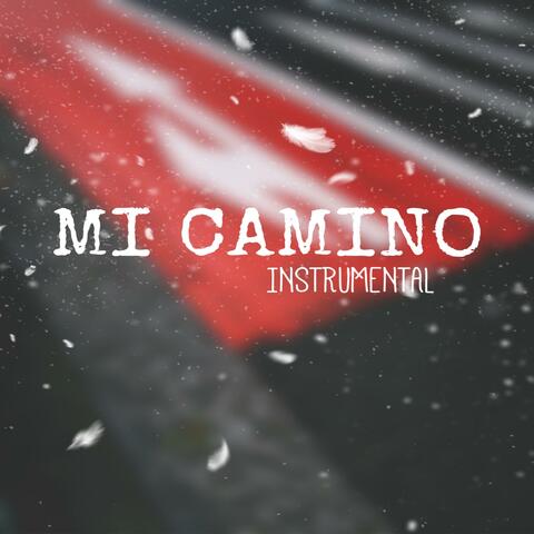 Mi Camino 2