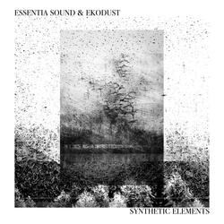 Fl114 (feat. Essentia Sound)