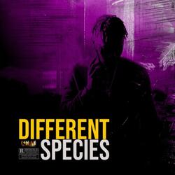 DIFFERENT SPECIES