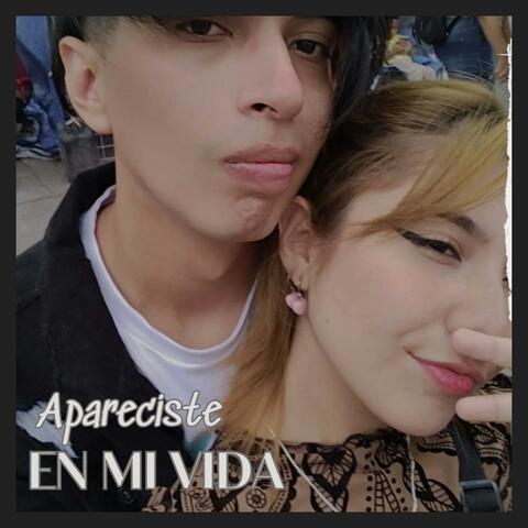 Apareciste en mi vida