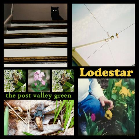 Lodestar