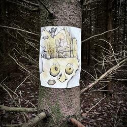 Neurological Apology